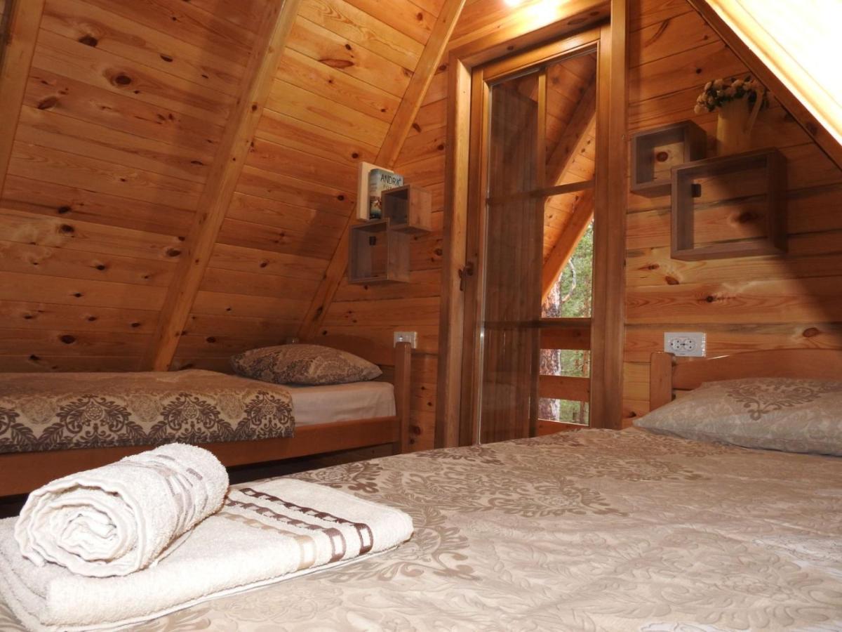 The Pine Forest Cottage Žabljak Kültér fotó