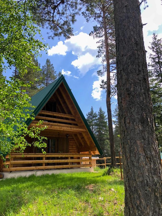 The Pine Forest Cottage Žabljak Kültér fotó
